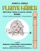 Flauta Mágica